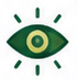 Vision